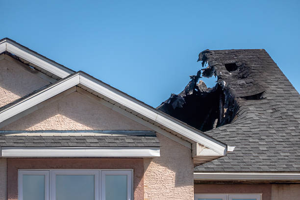 Top rated local Fire Damage Removal specialists in Plainsboro, NJ